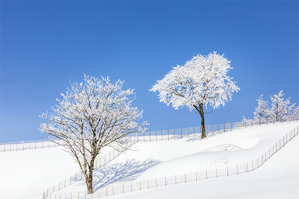 seoulstay_tours_Gangwon State_tour_72