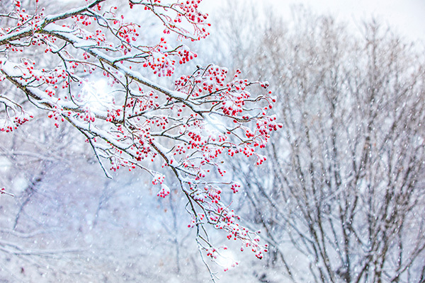 seoulstay_tours_Gangwon State_tour_74