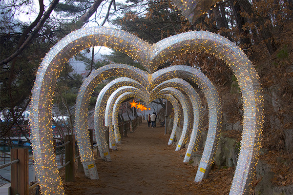 seoulstay_tours_Gyeonggi Province_tour_80