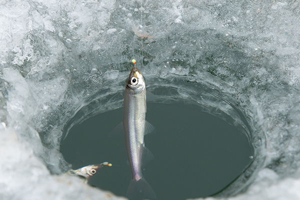 seoulstay_tours_Gyeonggi Province_tour_82