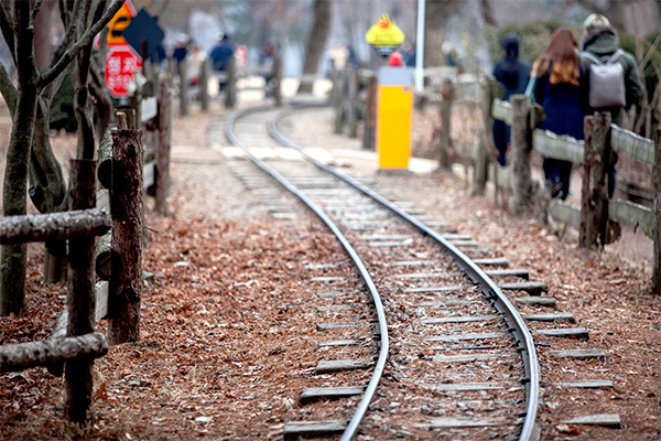 seoulstay_tours_Nami Island_tour_66