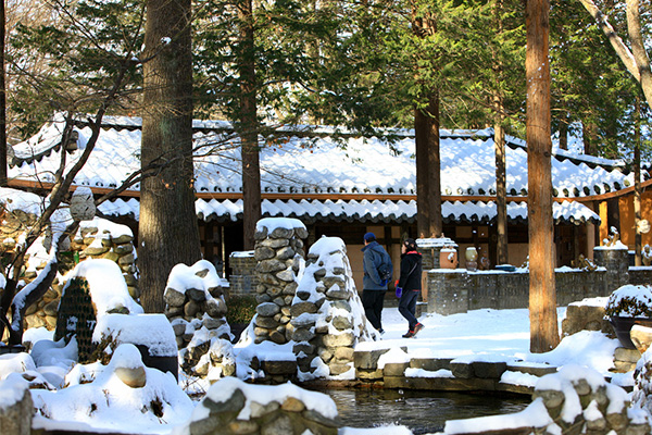 seoulstay_tours_Nami Island_tour_68