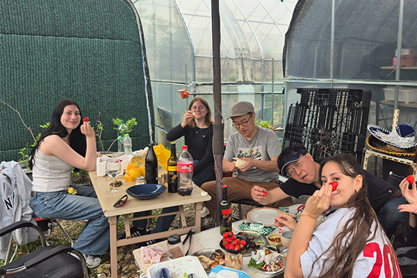 seoulstay_tours_gyeonggi_tour_36