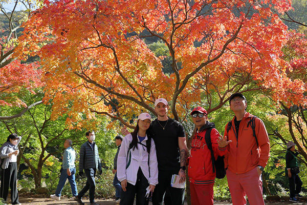 seoulstay_tours_regional_tour_19