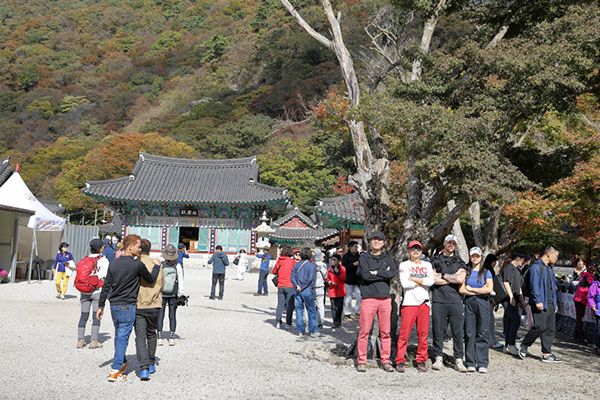 seoulstay_tours_regional_tour_23