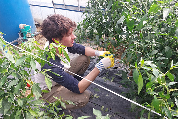 seoulstay_tours_seoul_tour_51