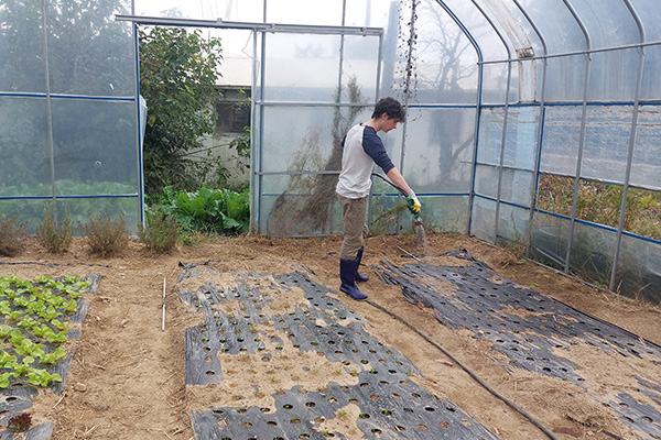 seoulstay_tours_seoul_tour_52