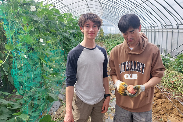 seoulstay_tours_seoul_tour_53